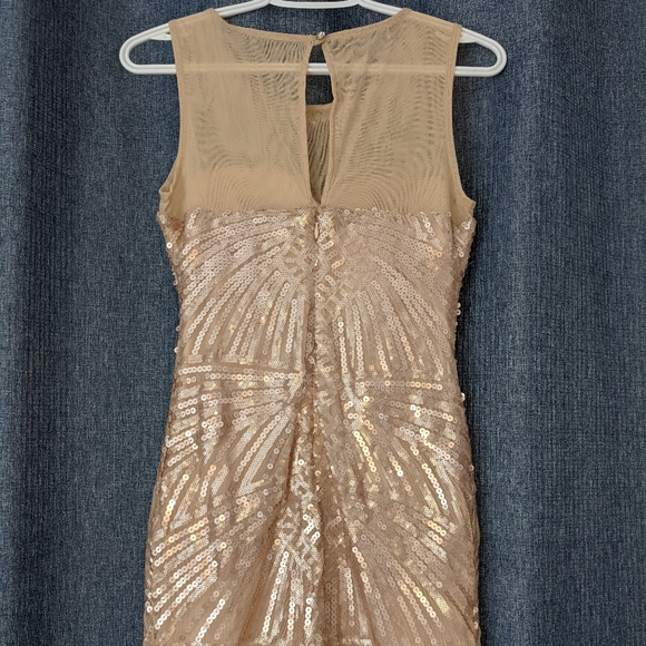 Champagne colored sequins dress - Picture 4 of 4